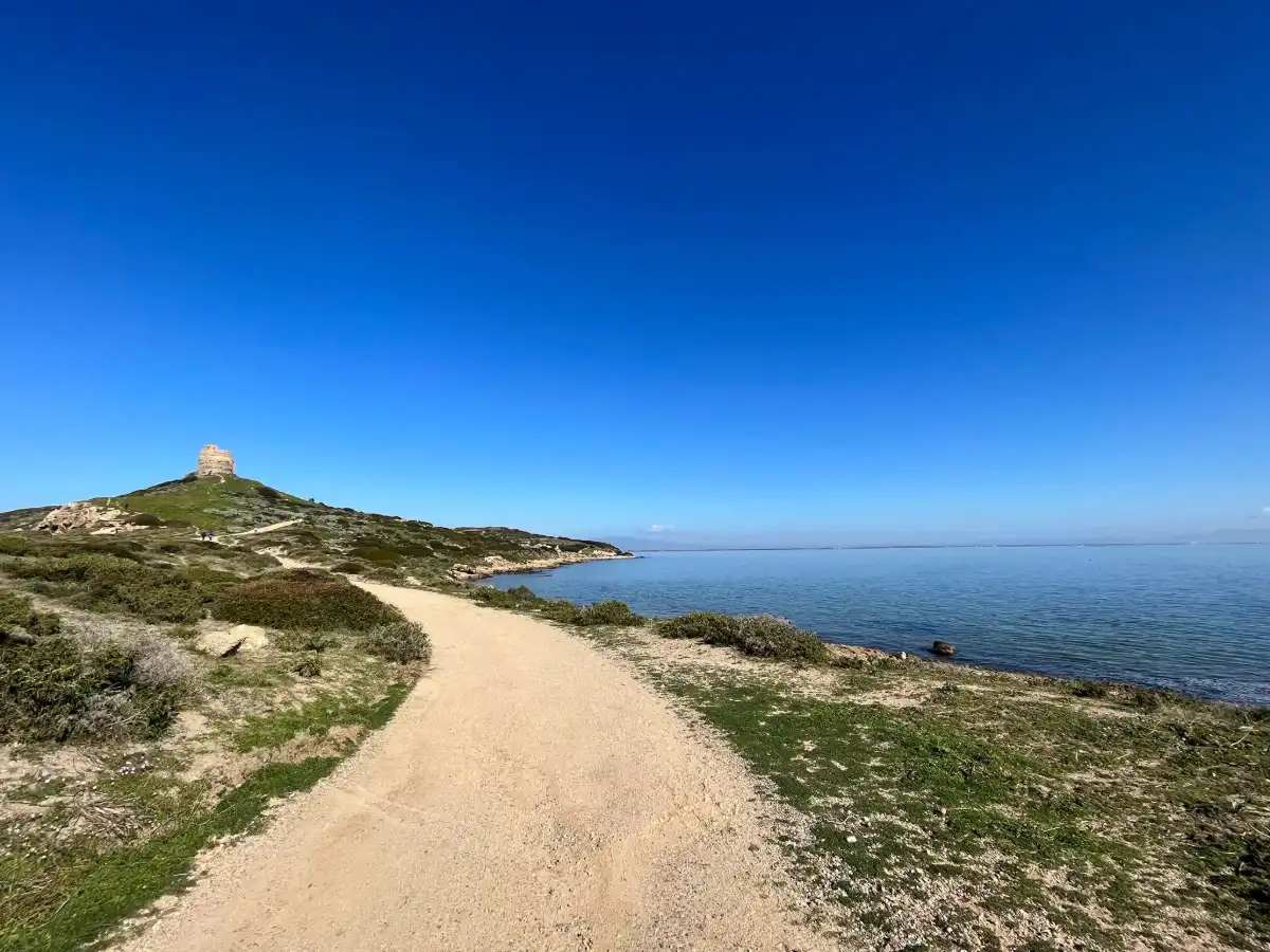 Vista panoramica del promontorio di Capo San Marco